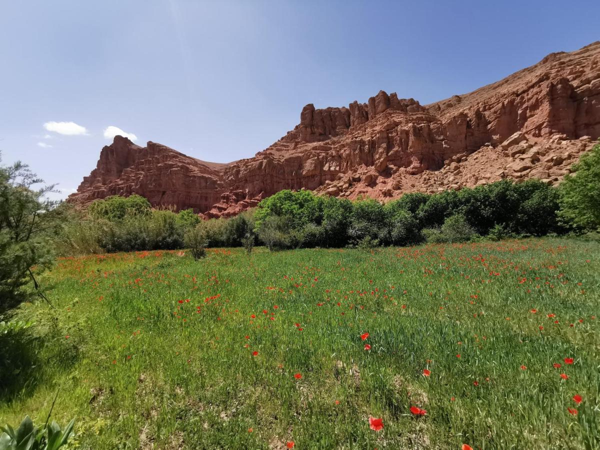 Bab El Atlas Kelaat-M'Gouna エクステリア 写真